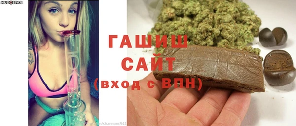 индика Богородск