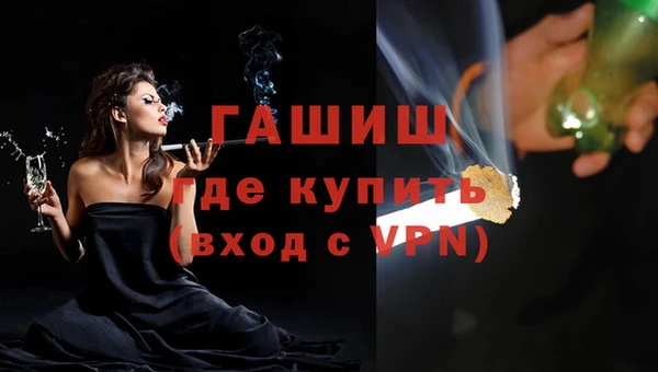 индика Богородск