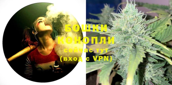 индика Богородск