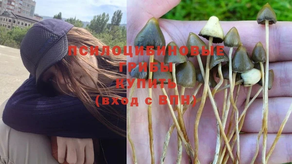 прущий лед Ессентукская