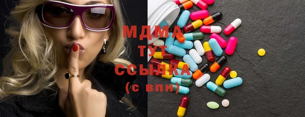 индика Богородск